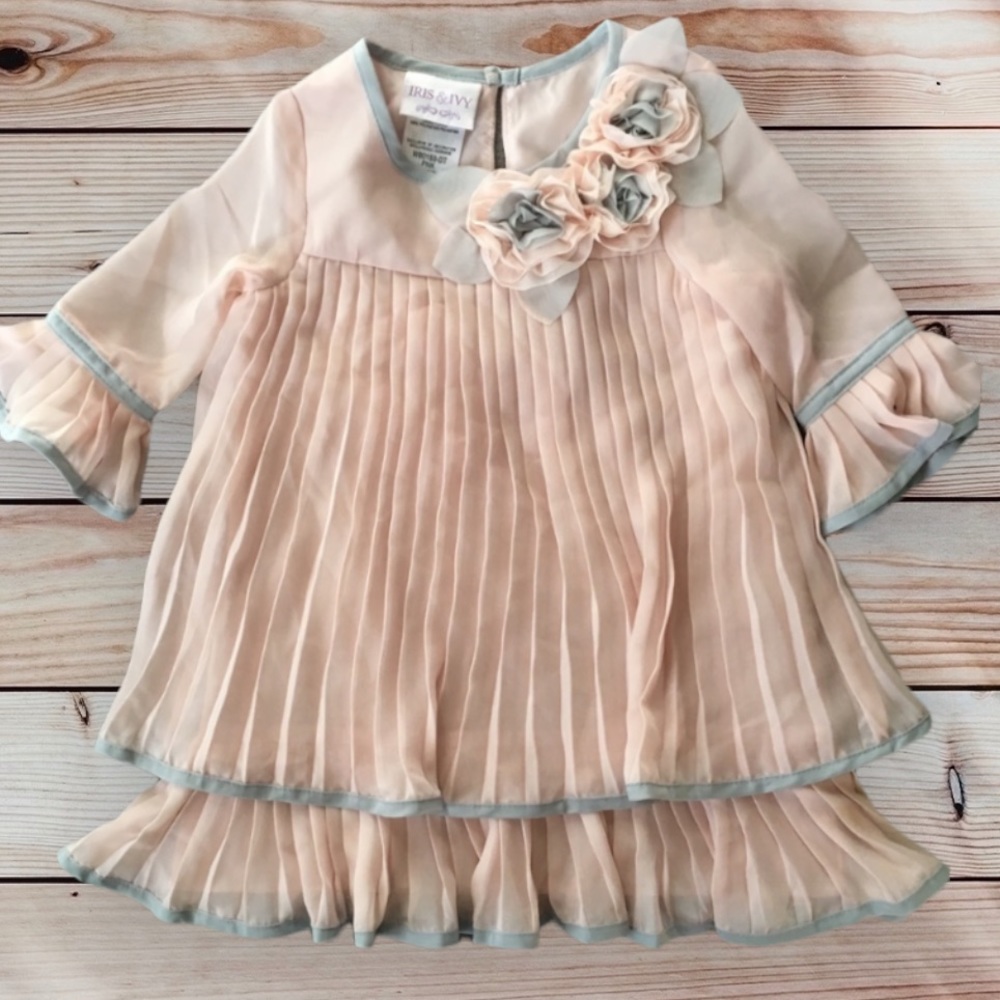 NWOT Iris & Ivy Toddler Dress